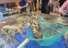 Record-Breaking Shrimp Exports: A New Milestone Achieved