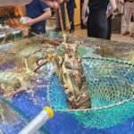 Record-Breaking Shrimp Exports: A New Milestone Achieved