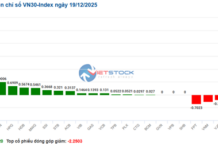 Market Pulse December 19: Vingroup Stocks Shine as VN-Index Surges Ahead