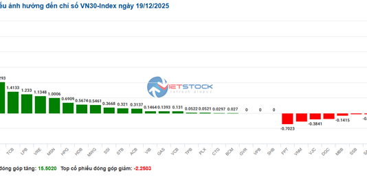 Market Pulse December 19: Vingroup Stocks Shine as VN-Index Surges Ahead