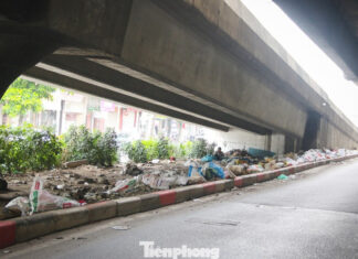Hanoi Chairman Directs Urgent Action to Tackle Severe Garbage Accumulation on Ring Road 2 and Ring Road 3