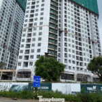 Home Prices Skyrocket to Three Times Average Household Income