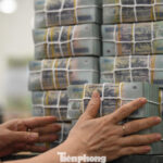 What Does the Surge in Housing Prices and Credit Reveal?