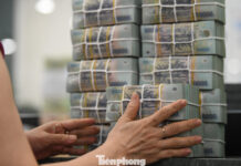 What Does the Surge in Housing Prices and Credit Reveal?