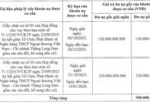 Pioneer Securities to Launch Second Bond Issuance of 2025