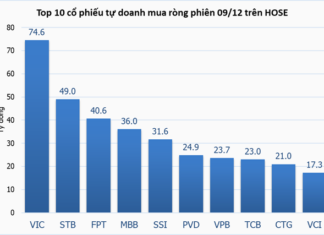 Tracking the Whale Money Flow on December 9th: Proprietary Traders and Foreign Investors Diverge, Vingroup Affiliates Grab Attention