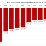 Tracking the Whale Money Flow on December 18: Foreign Investors Net Sell DXS Aggressively