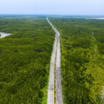 Ho Chi Minh City Approves High-Speed Rail Project Connecting Ben Thanh to Can Gio