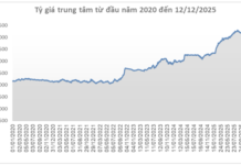 USD Price Continues to Hit New Lows