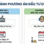 Billion-Dollar Cable-Stayed Bridge Connects to Future “Gold Mine” in Vietnam’s Wealthiest City