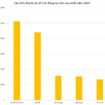 Unveiling the Top Provinces and Cities Leading Auto and Motorcycle Purchases in 2025