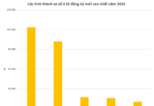 Unveiling the Top Provinces and Cities Leading Auto and Motorcycle Purchases in 2025