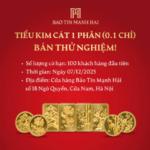 First Time Ever: Bao Tin Manh Hai Offers 0.1 Tael Gold – Now Everyone Can Afford to Buy Gold!