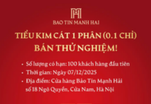 First Time Ever: Bao Tin Manh Hai Offers 0.1 Tael Gold – Now Everyone Can Afford to Buy Gold!
