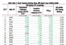 Two “Sharks” with a Combined Capital of $1.05 Billion May Adjust Billionaire Pham Nhat Vuong’s Stock Weight, Counter-Trending Against Tycoon Tran Dinh Long’s Stock Accumulation