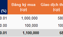 Vietcap-Affiliated Funds Execute 62% of VCI Share Purchase Plan, Targeting 2 Million BVB Shares for Acquisition