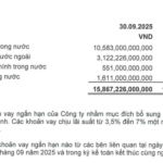 Vietcap Aims to Raise Up to VND 3,000 Billion Through Bond Issuance Following Recent Capital Moves