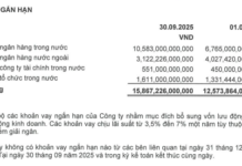 Vietcap Aims to Raise Up to VND 3,000 Billion Through Bond Issuance Following Recent Capital Moves