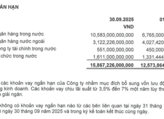Vietcap Aims to Raise Up to VND 3,000 Billion Through Bond Issuance Following Recent Capital Moves