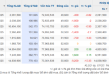VCK Sets Private Placement Price at VND 50,000 per Share with 18-Month Transfer Restriction