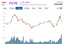 Real Estate Stocks Surge, Propelling VN-Index to Gain Over 25 Points
