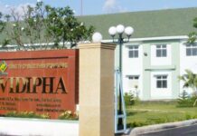Vidipha Fined and Ordered to Pay Over 10 Billion VND in Back Taxes