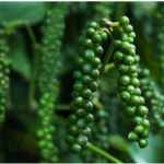 Vietnam’s 6 Hidden Gems Generate $468 Billion, Propelling the Nation into the Global Top 15