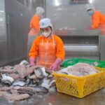 Year-End Joy for Seafood Businesses: Tax Relief Announced