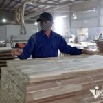 “Overcoming Obstacles, Vietnam’s Strength Surges to Historic Heights”