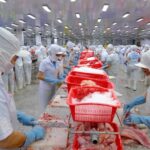 Record-Breaking $2.3 Billion Seafood Exports to China Post-Turbulence