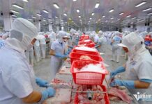 Record-Breaking $2.3 Billion Seafood Exports to China Post-Turbulence