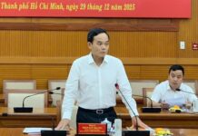 Ho Chi Minh City Audits and Tracks Key Cases of Loss and Waste in Typical Projects