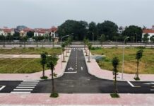 Secure Your Land Purchase: Fully Legalized Auction Wins with Red Book Certification, Yet Legal Risks Persist