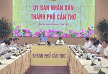 Can Tho Projects 10-10.5% GRDP Growth in 2026, Following 2025 Performance Review