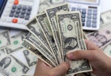 Black Market USD Prices Continue to Plummet, Showing No Signs of Slowing Down