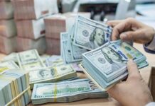 Dollar’s Free Fall: A Sudden and Sharp Decline