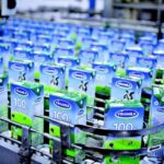 Thai Owner of Sabeco Plans to Invest Additional $260 Million to Significantly Boost Stake in Vinamilk