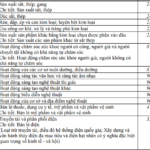 Vingroup Revamps Business Operations with Strategic Industry Adjustments