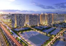 Surprising Shifts in the Condominium Transfer Market