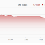 The PYN Elite Fund CEO’s “Prophecy” Comes to Fruition