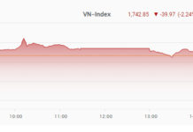 The PYN Elite Fund CEO’s “Prophecy” Comes to Fruition