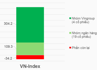 Unveiling the Overlooked: Hidden Gems in the Stock Market