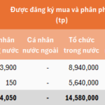 VNDIRECT Raises Nearly VND 2,000 Billion Through Two “Triple Zero” Bond Issues