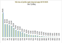 Vietnam’s Stock Market Diverges: King Stocks and VN-Index No Longer in Sync