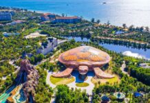 Billionaire Ngạc Văn Lượng Invests Over $17 Million in VPL Shares