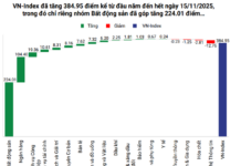 Attractively Valued Stocks: Which Ones Deserve Your Investment?