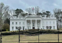 Vietnamese Family Lists ‘Replica’ White House for Sale at $35 Million