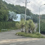 Scandal Unveiled: Massive Violations Exposed in the 200-Hectare Hòn Rơm Golf Course Project in Mũi Né