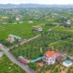 Unlocking Land Project Bottlenecks and Implementing the National Target Program