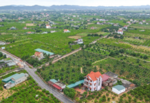 Unlocking Land Project Bottlenecks and Implementing the National Target Program